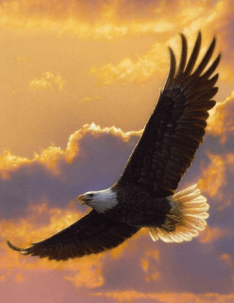 Beverly Joan Bellegarde Obituary